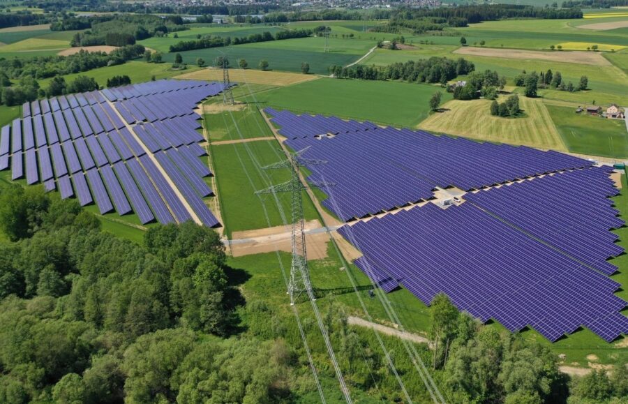 eine PV-Großanlage umgeben von Grün.