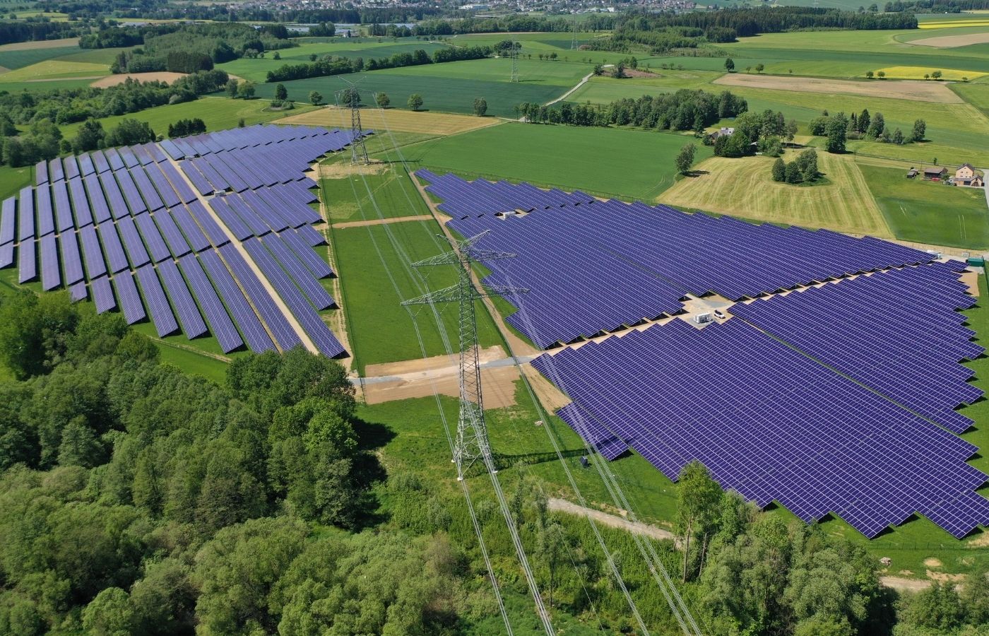 eine PV-Großanlage umgeben von Grün.